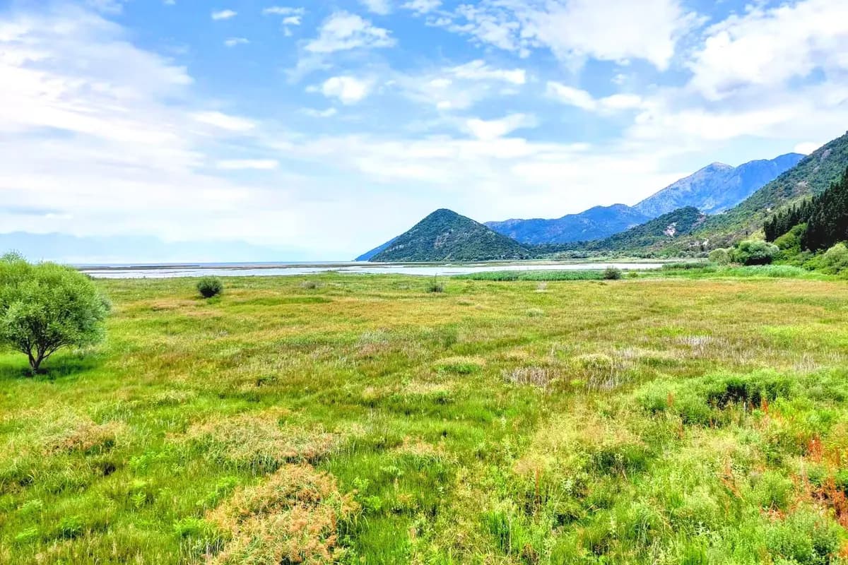 Lake Skadar Montenegro: The Ultimate National Park Guide (2026)