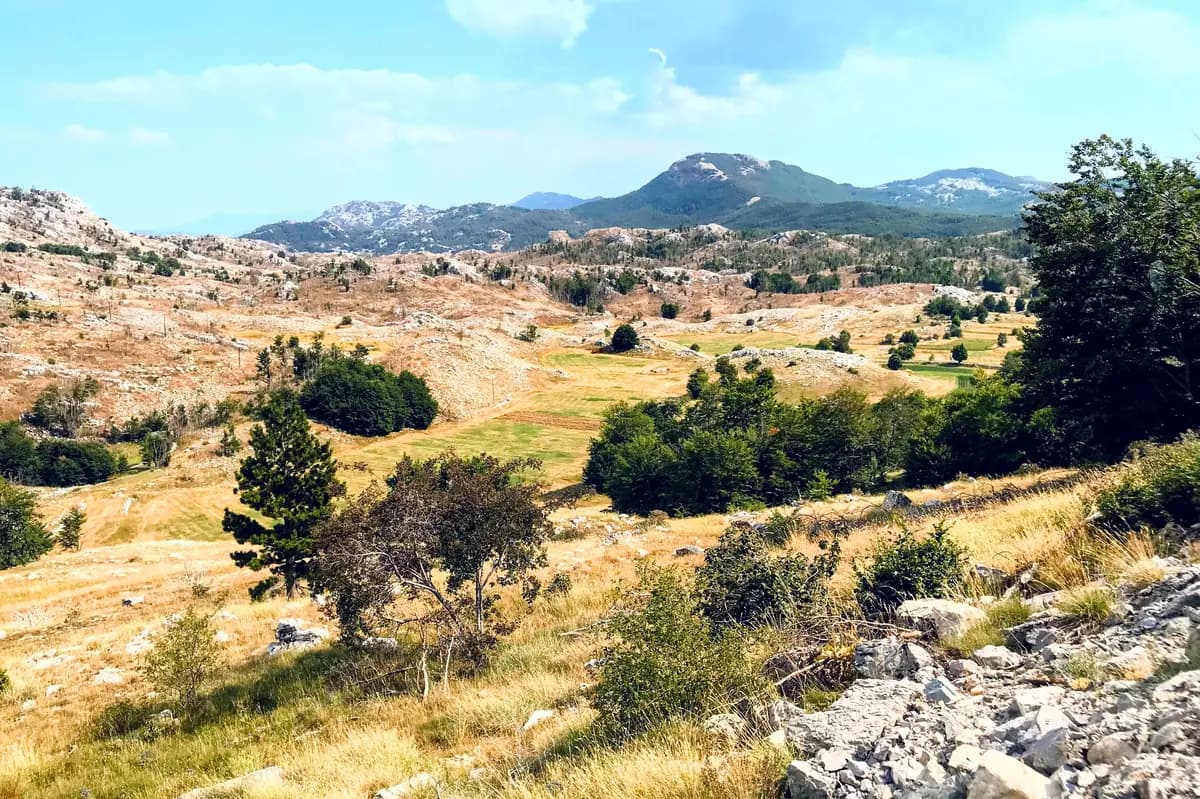 Lovćen National Park Guide: The Ladder to the Montenegrin Soul