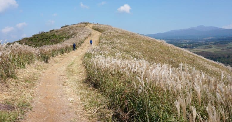 Top 12 Jeju Oreums (Volcanic Cones) in Jeju Island - Trazy Blog