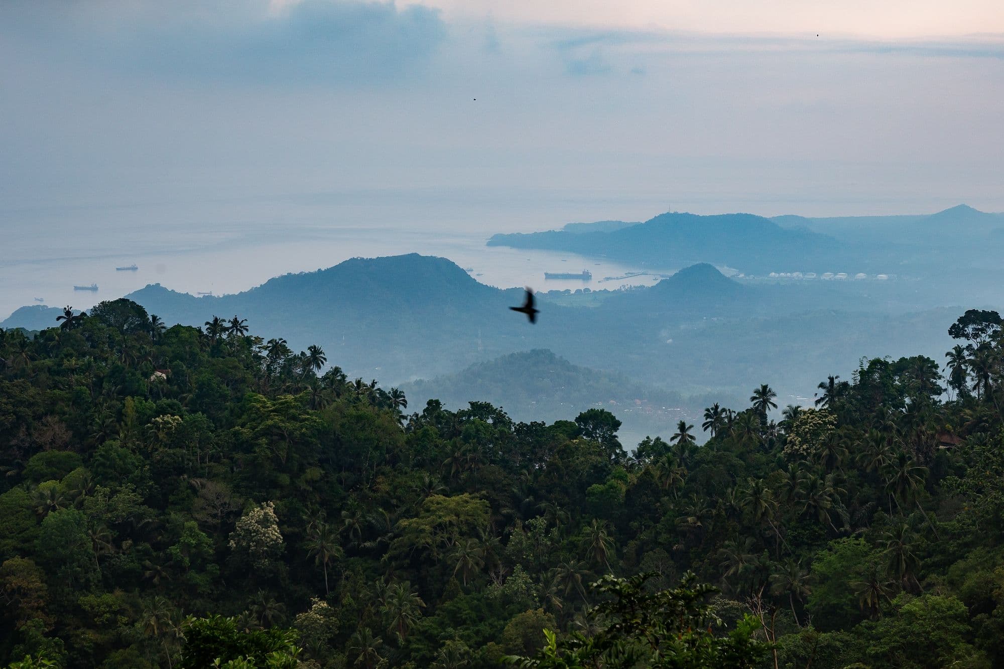 Beyond the beach: exploring Bali&rsquo;s cultural heartland