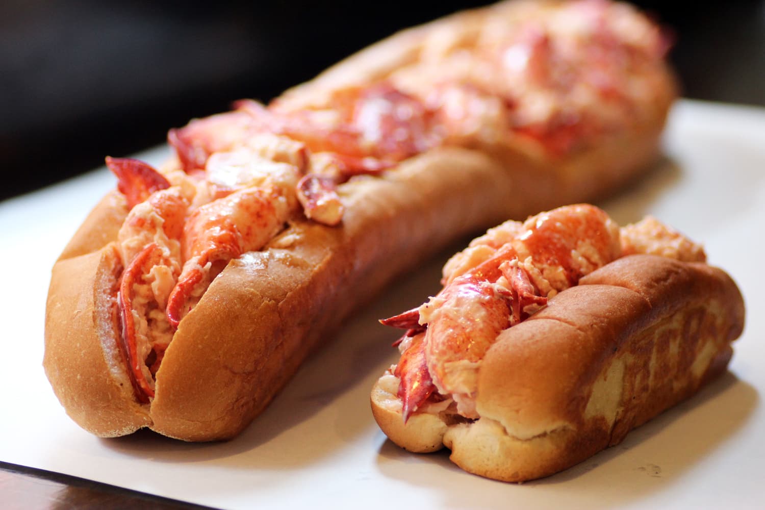 Best Lobster Roll Boston: 11 Spots For This New England Classic