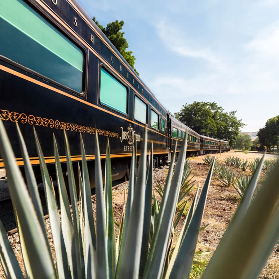 Jose Cuervo Express Train | Journey to the Soul of Tequila