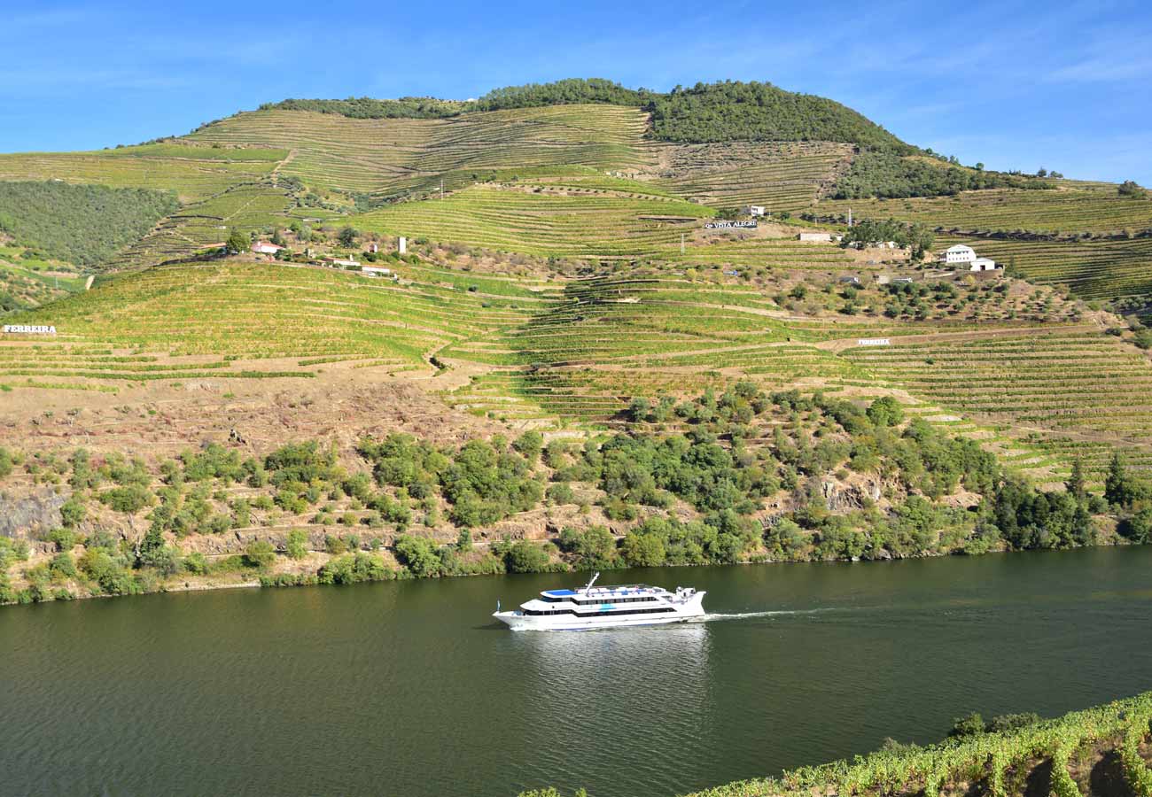 The Douro Valley: An Independent Tourism Guide for 2026