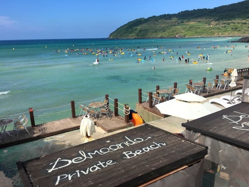 Where to Stay in Jeju Island: Best Hotels, Resorts & Areas for Every Budget
