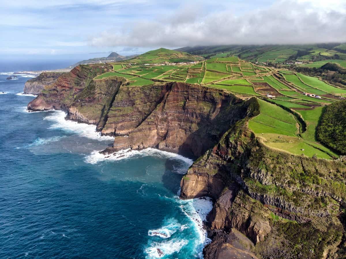 Whale-watching in the Azores