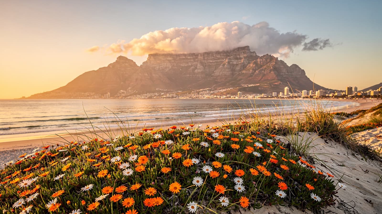Cape Town & the Western Cape — Spring 2026