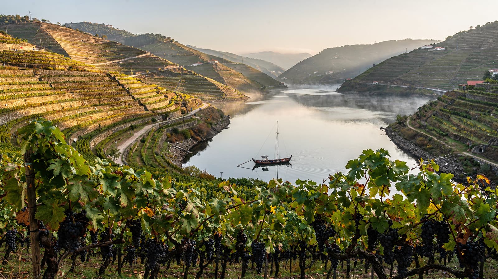 Douro Valley — Harvest 2026