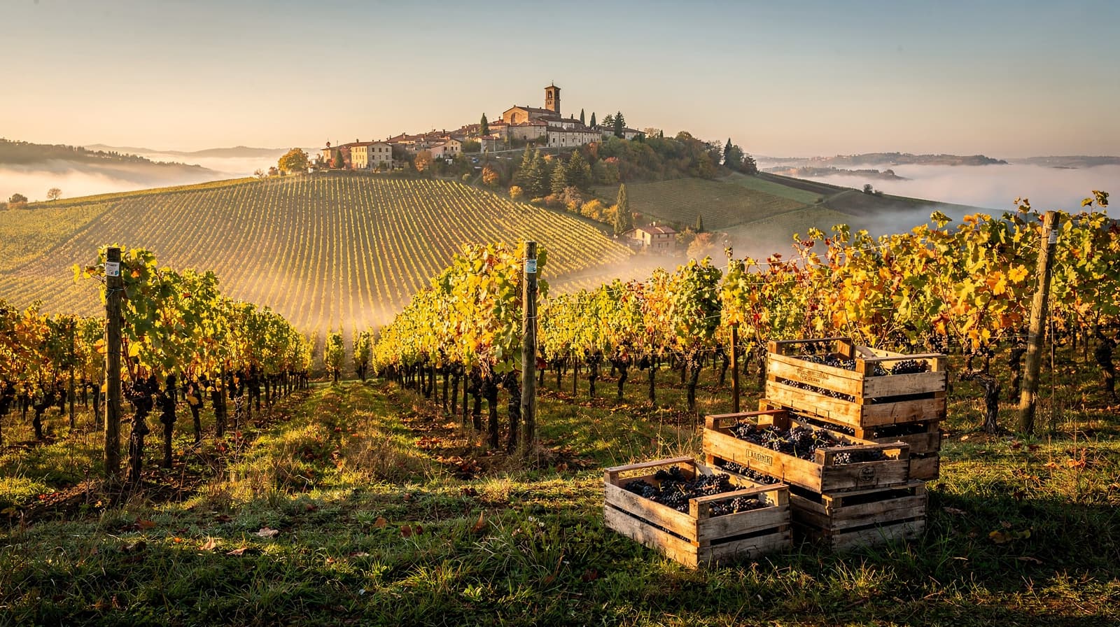 Piedmont, Italy — Autumn 2026