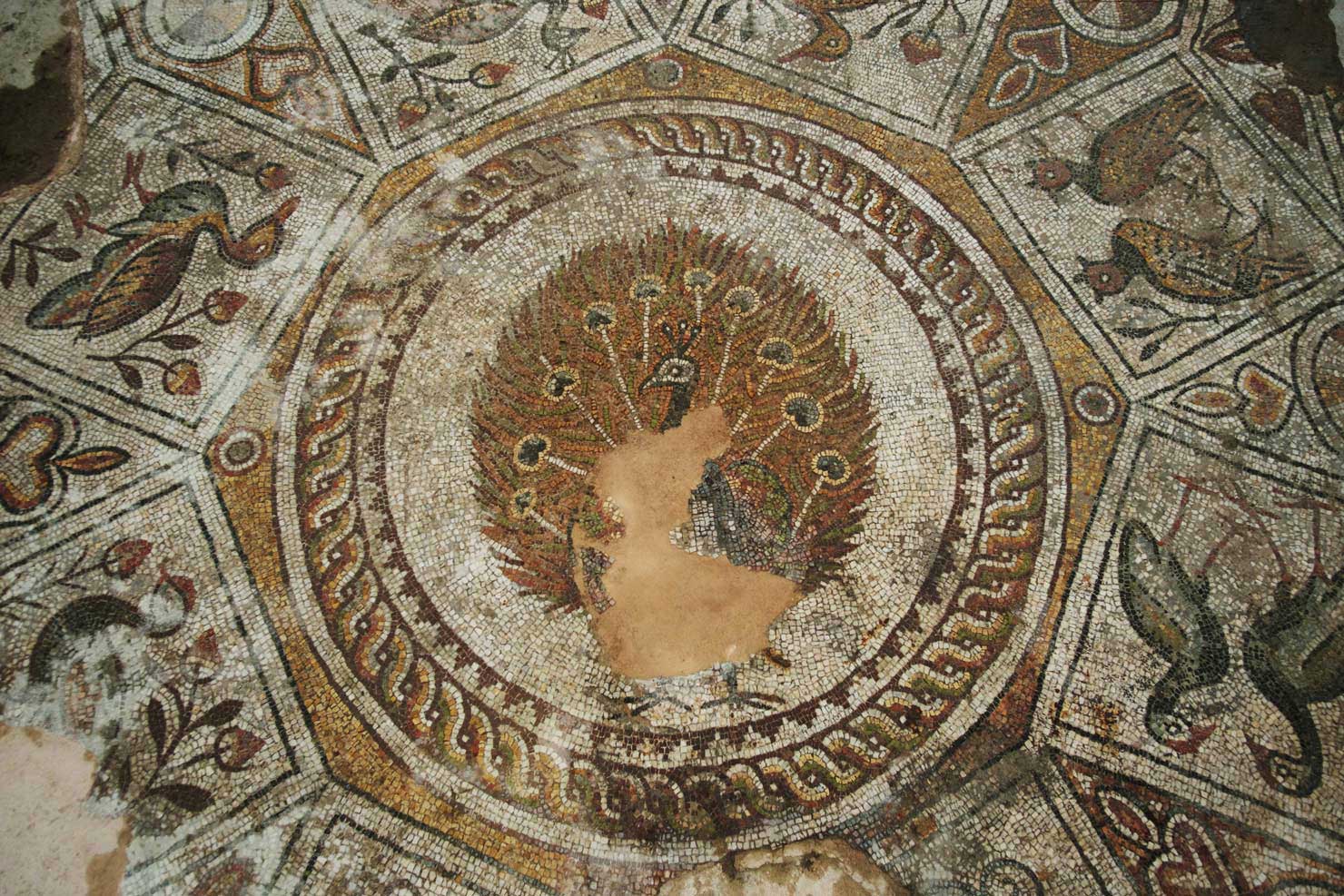 HOME - THE BISHOP'S BASILICA OF PHILIPPOPOLIS