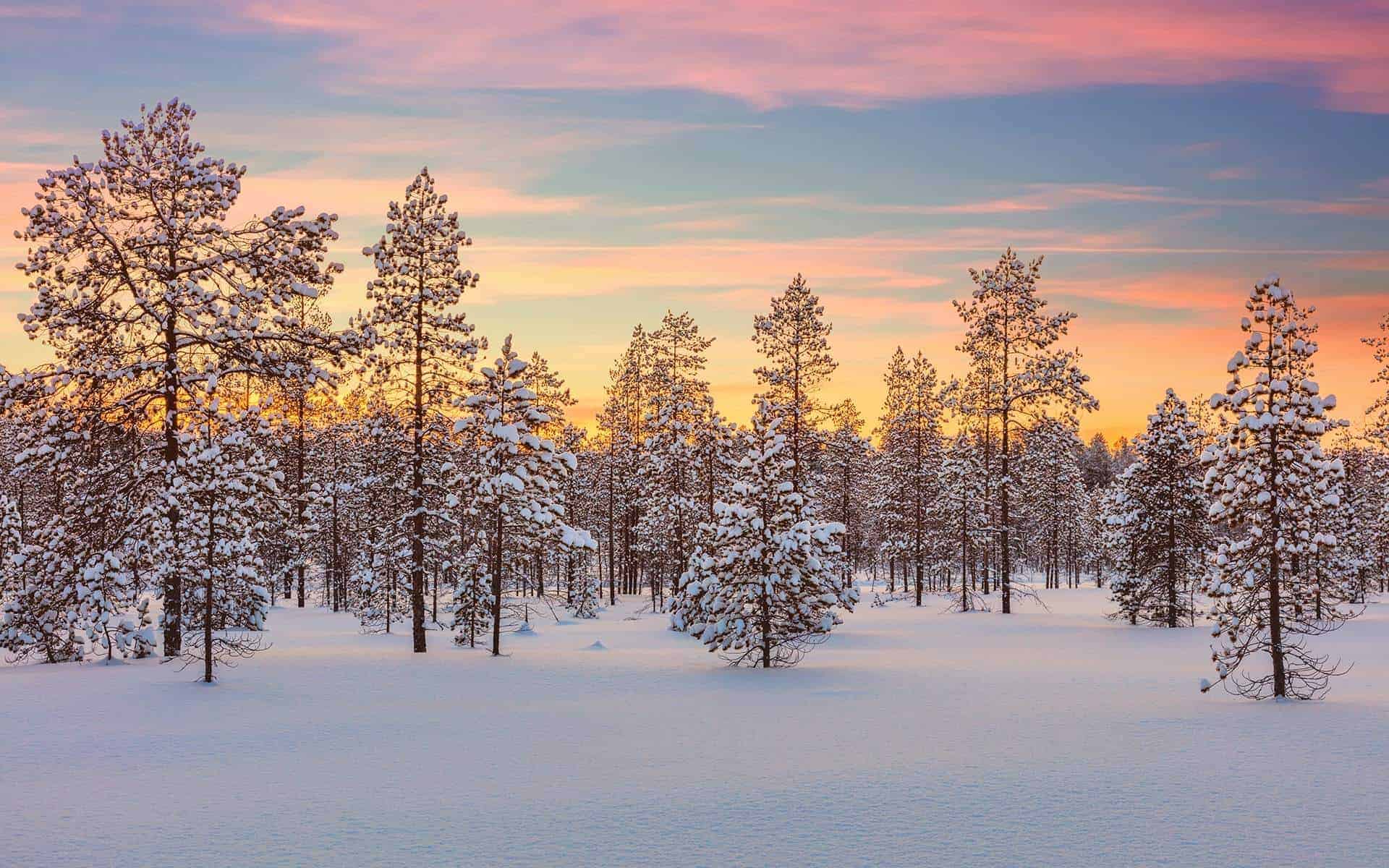 Mökki Culture: A Guide to Renting a Finnish Summer Cottage