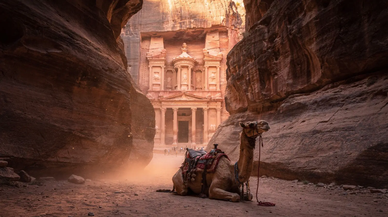 A saddled camel resting in a narrow sandstone gorge, the carved Treasury glowing at its end