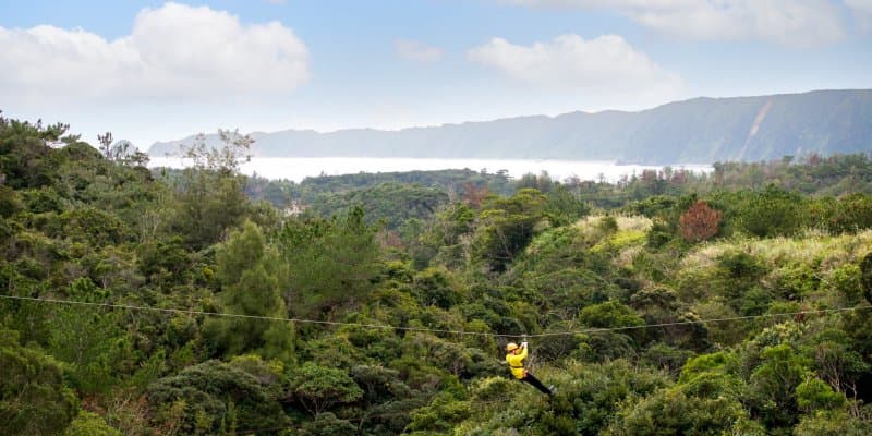 The Okinawa Blue Zone