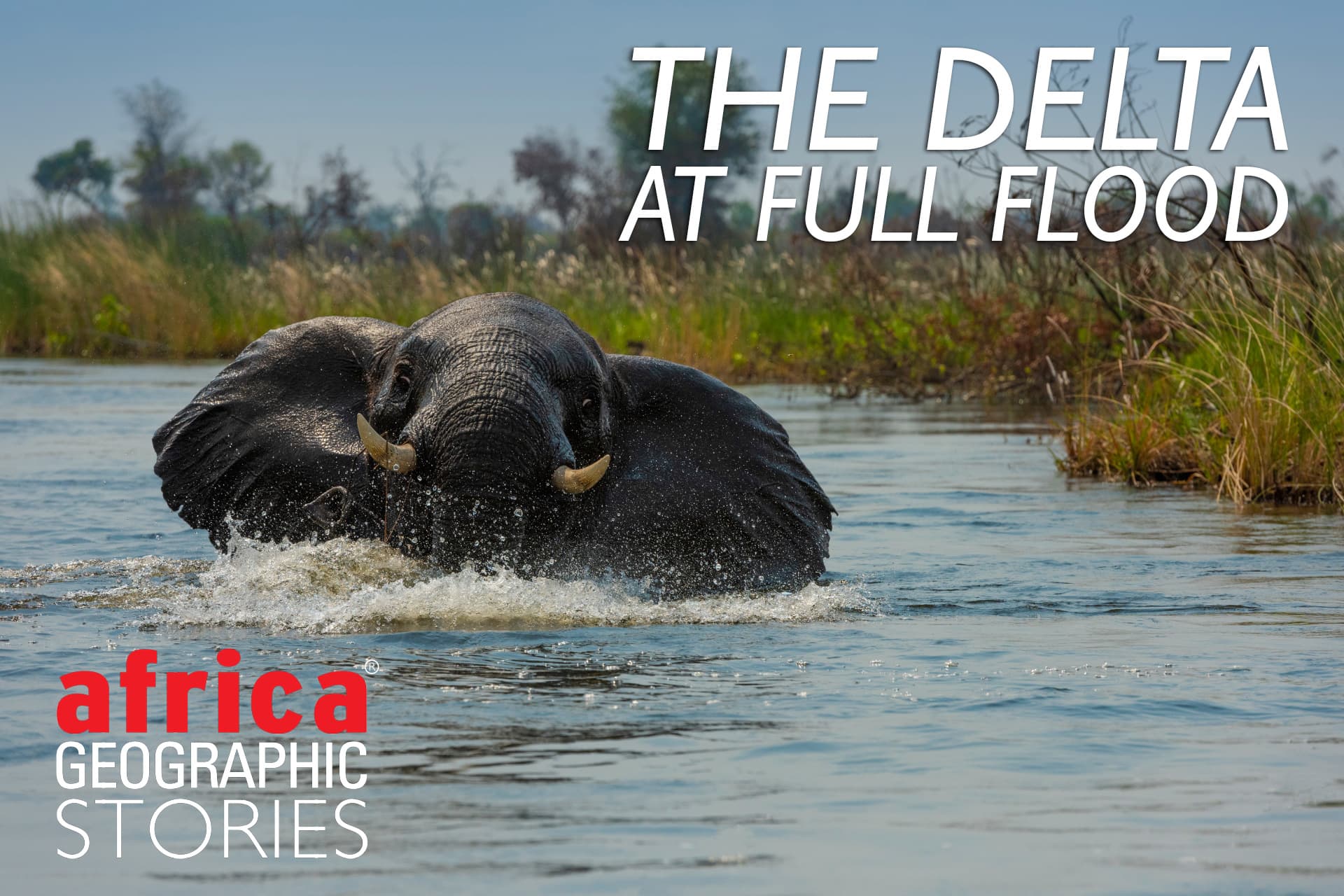 The Okavango Delta at full flood