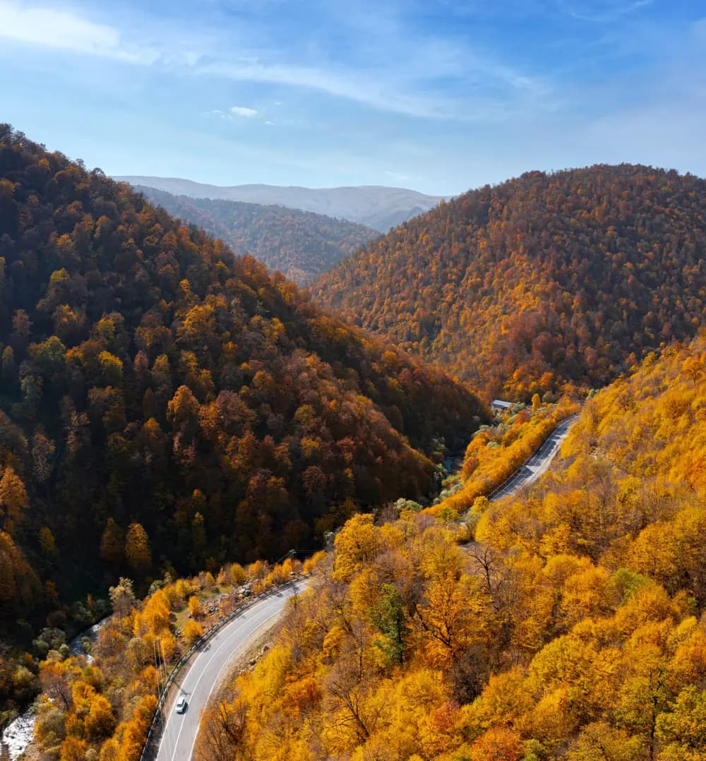 Best Spots to Catch Stunning Fall Foliage
