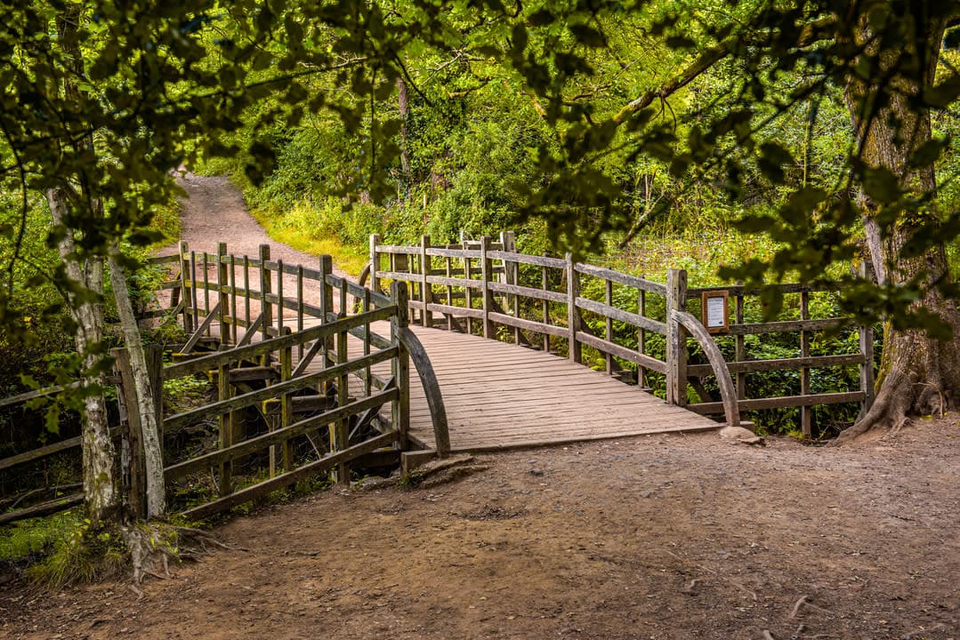 Winnie-the-Pooh at 100: visit the Sussex locations of the beloved books