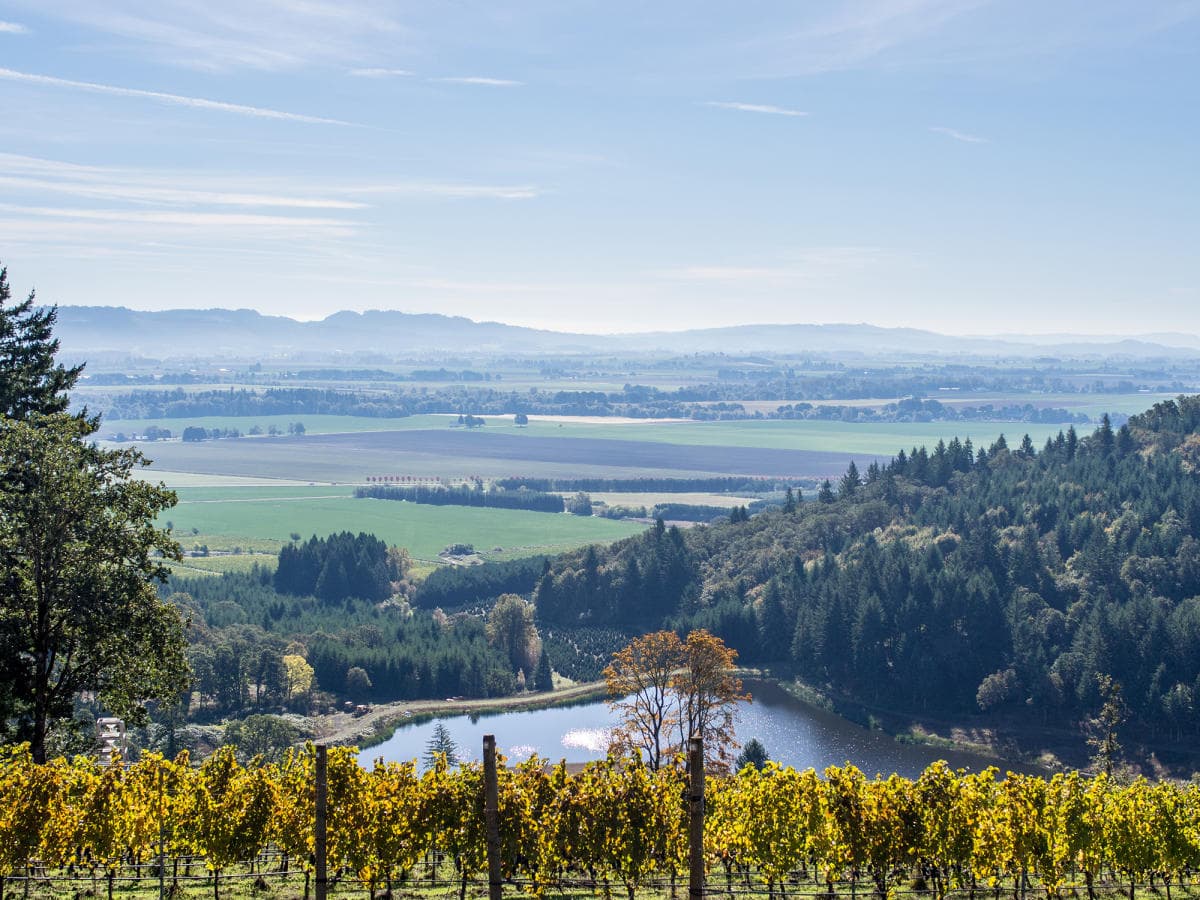 American Viticultural Areas | Willamette Valley Wineries