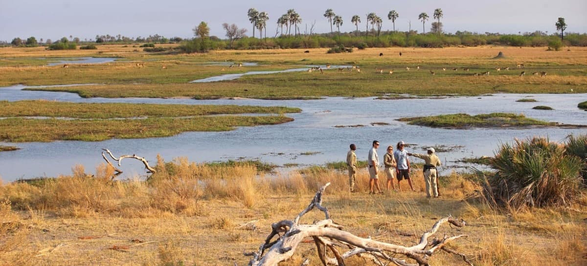 Okavango Delta Travel Guide: Best Time To Visit, Costs, And Safari Tips 2026 - Cheetah Safaris