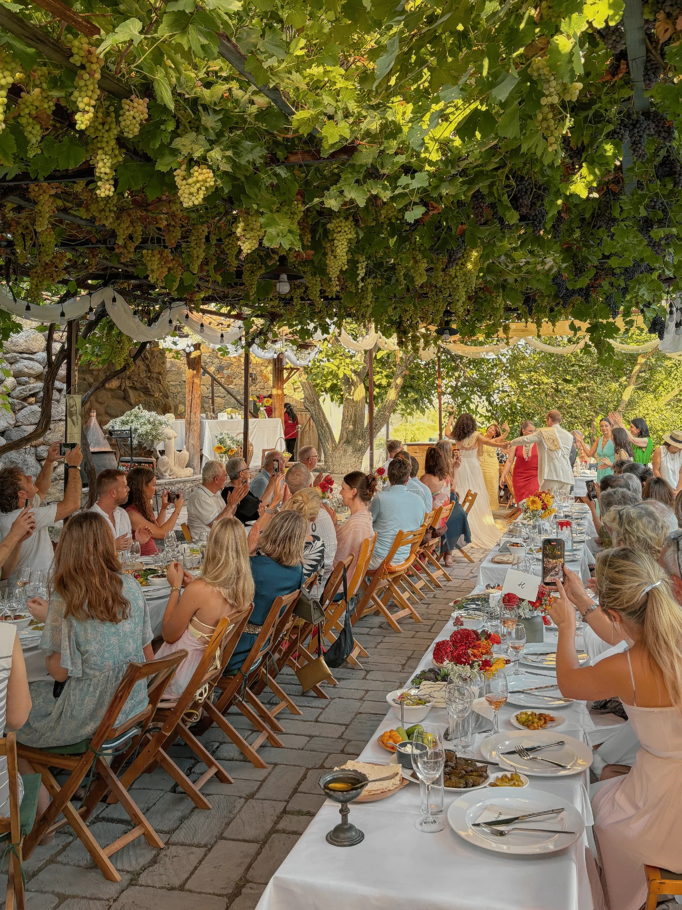 Trinity Canyon Vineyards