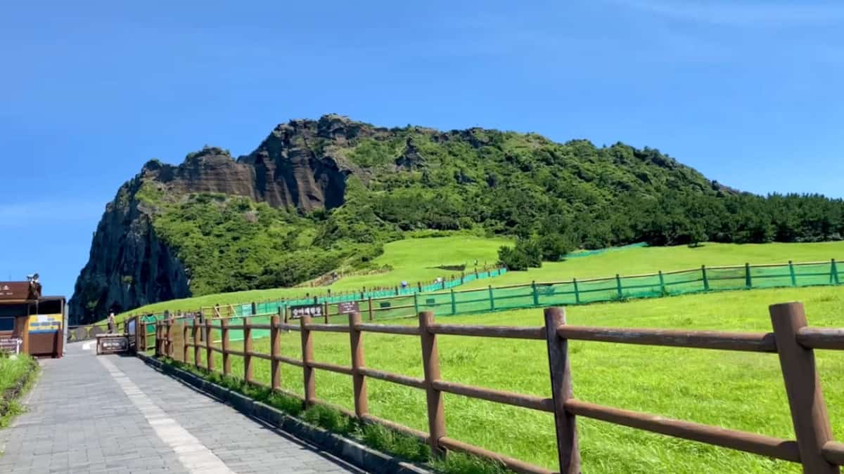 A First-Timer's Jeju Island Itinerary for 2-5 Days