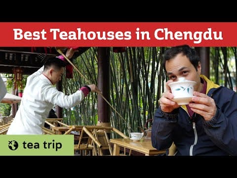 Exploring Chengdu’s Legendary Teahouses - Traditional & Modern Tea Culture in China | Tea Trip