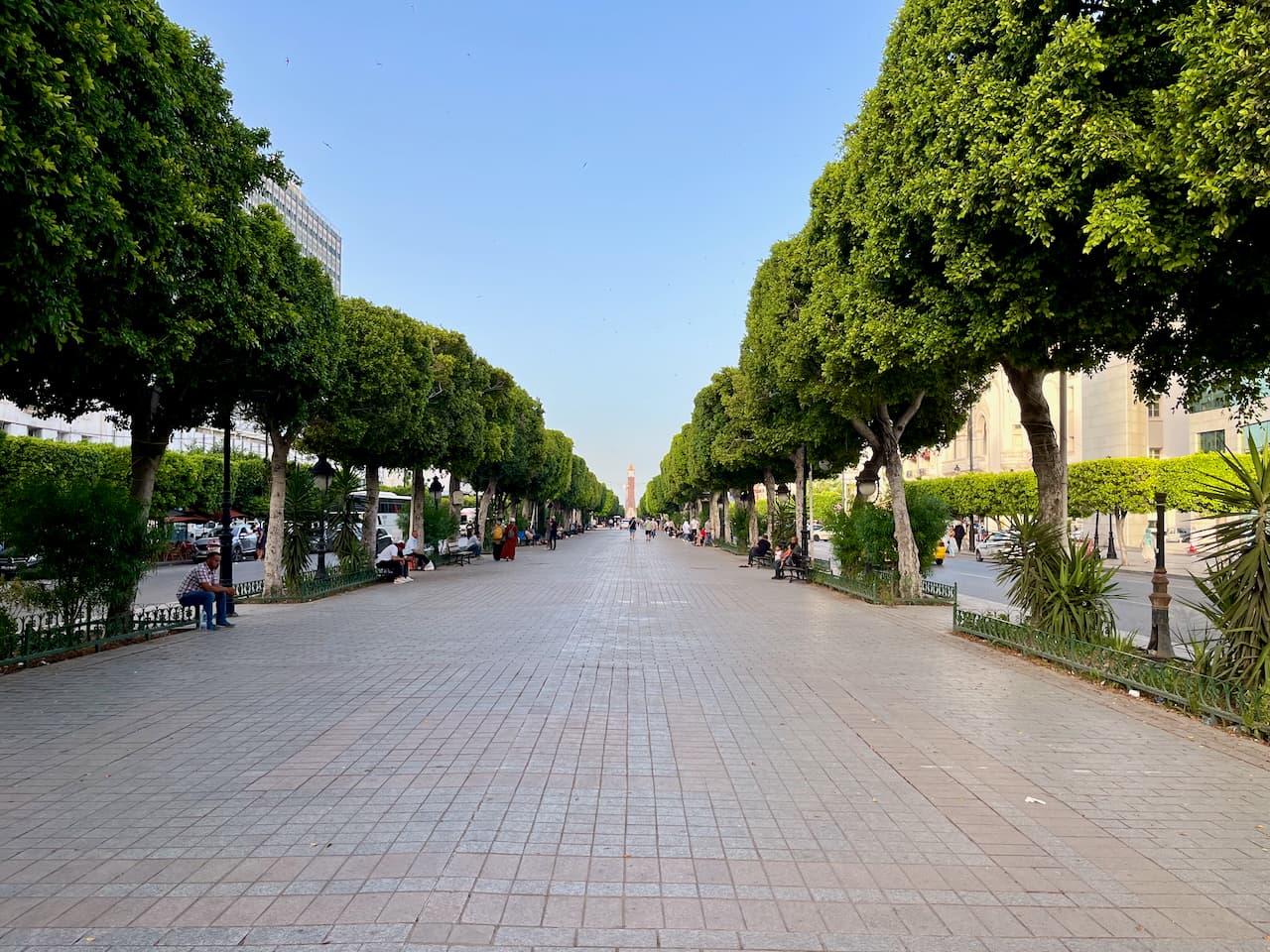 Travel: Culture and History in the Architecture of Central Tunis with Scholar Daniel E. Coslett