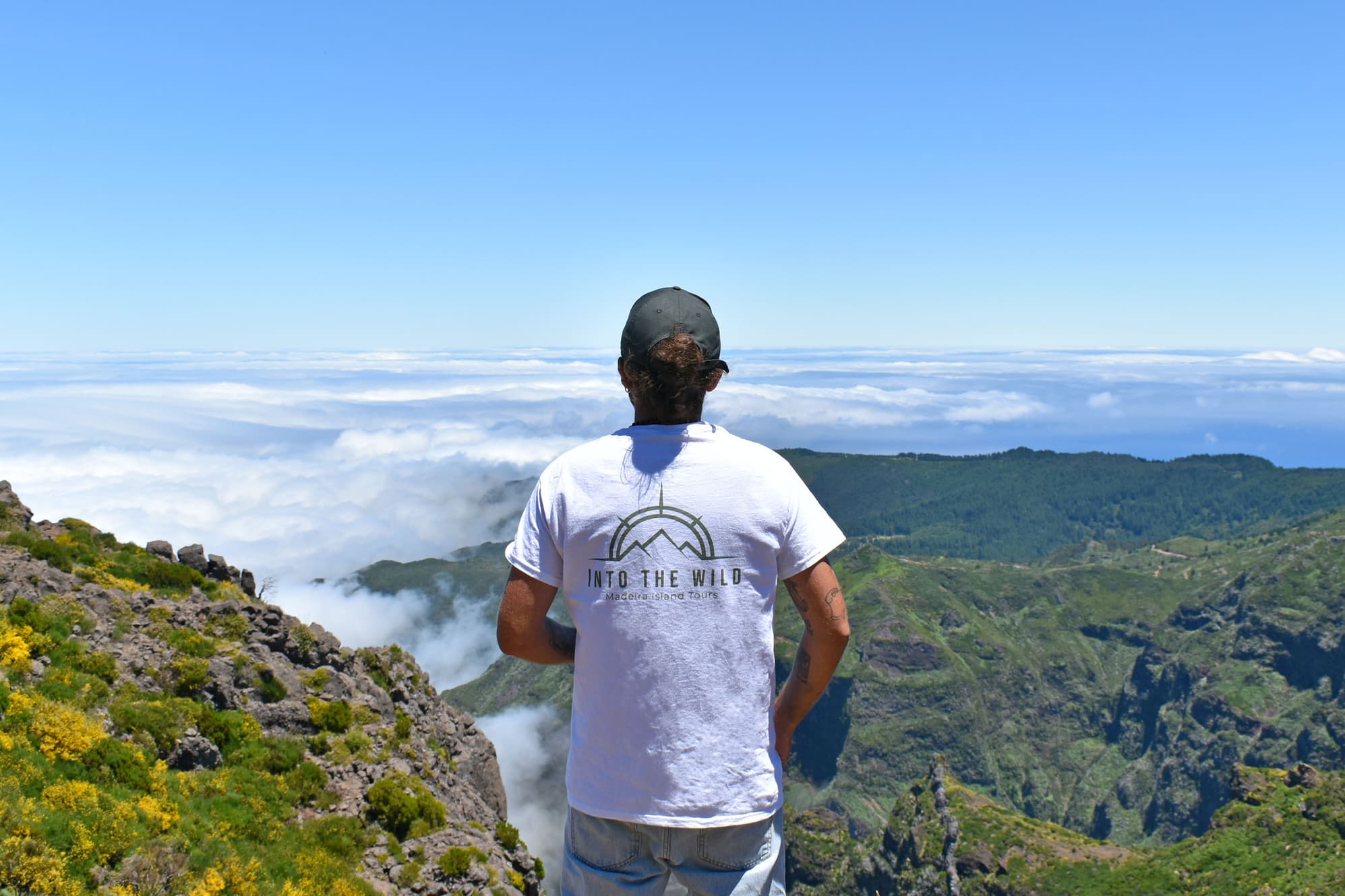 Post | Into the Wild Madeira