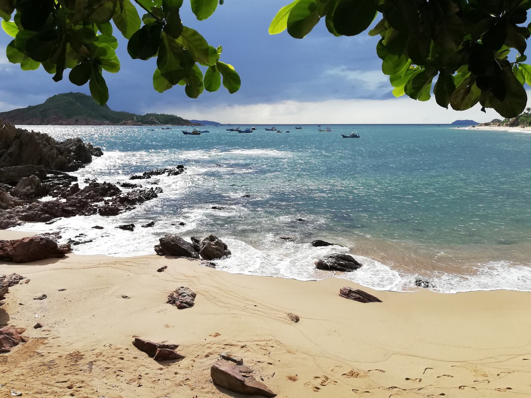 Haven Boutique Hotel and Big Tree Bistro - Quy Nhon, Binh Dinh, Vietnam