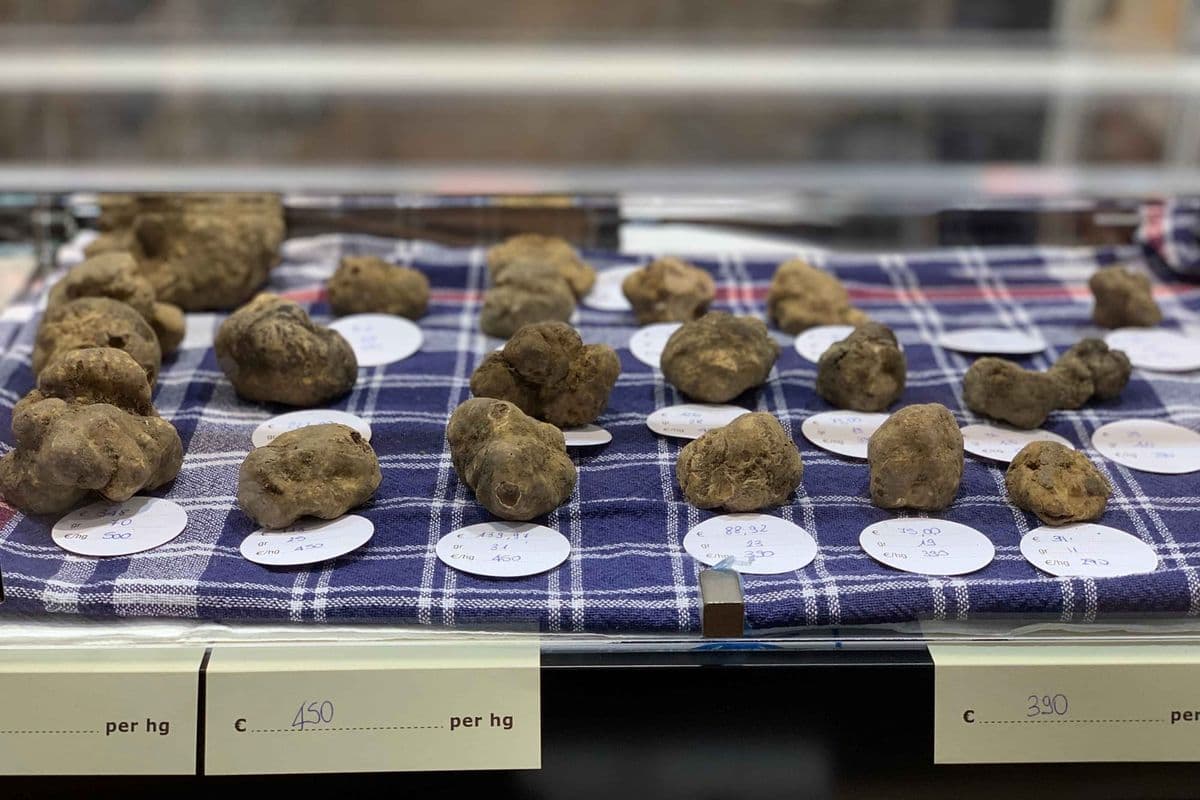 The Alba Truffle Fair Guide 2026: Tickets, Prices, & Dates