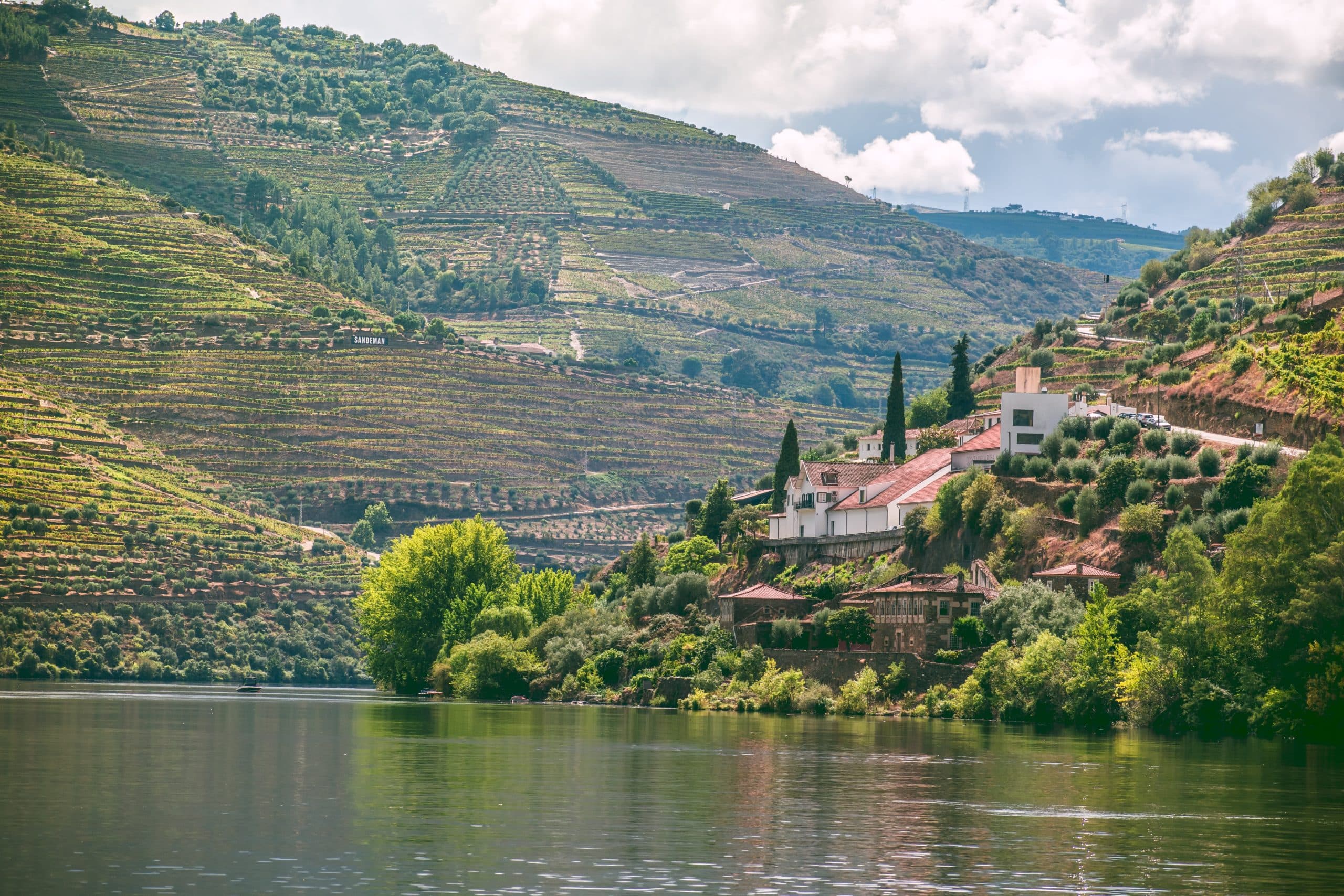 Our Tried and Tested Top 7 Favorite Restaurants in Douro Valley