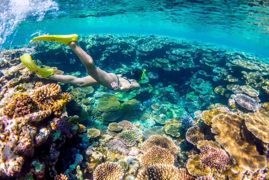 Okinawa Snorkeling Guide | VISIT OKINAWA JAPAN | Official Okinawa Travel Guide
