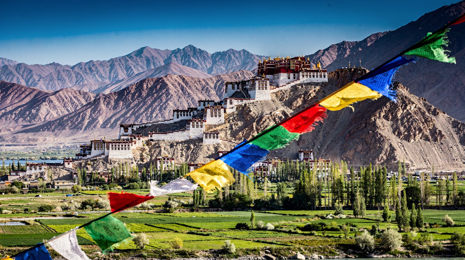 Ladakh, India — Summer 2026