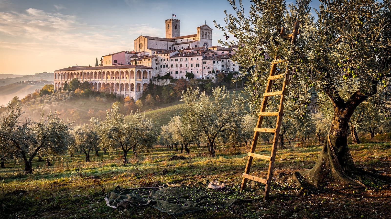 Assisi & Umbria, Italy — Autumn 2026