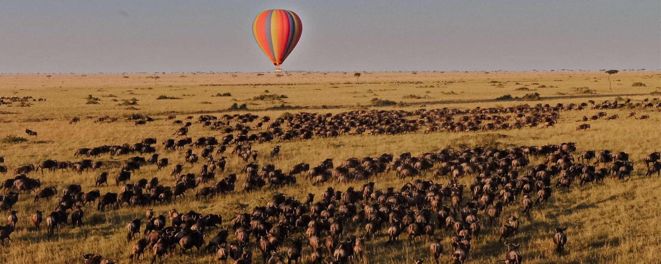 Top Masai Mara Conservancies | Mara Triangle