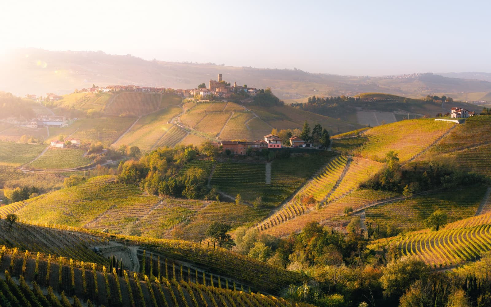 Itinerary in the Langhe to discover Barolo - Italia.it