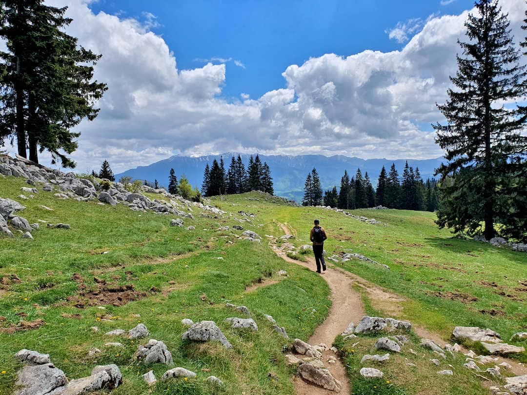 Piatra Craiului Brasov Day Hike: A Sustainable Outdoor Adventure