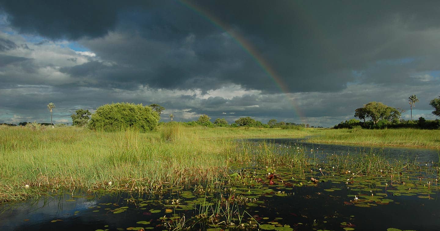 Best time to visit the Okavango Delta | Month-by-month guide