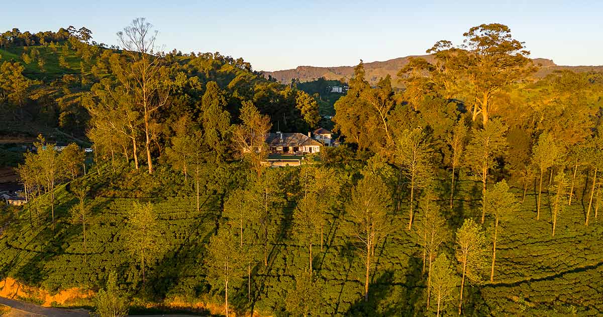 Goatfell: Luxury Estate Bungalow in Nuwara Eliya, Sri Lanka’s Tea Country