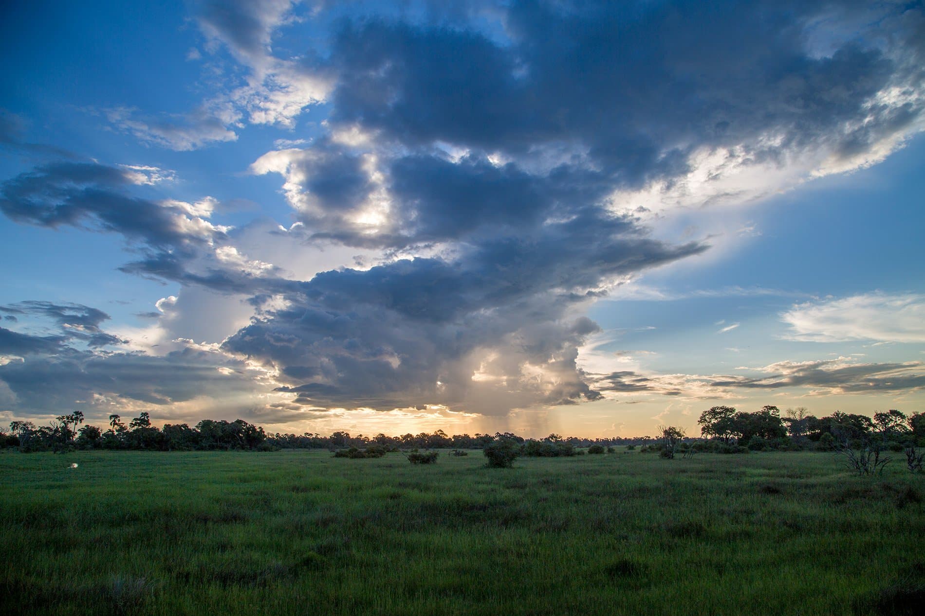 2026 Set to be the Best Flood Season in the Okavango Delta in Decades