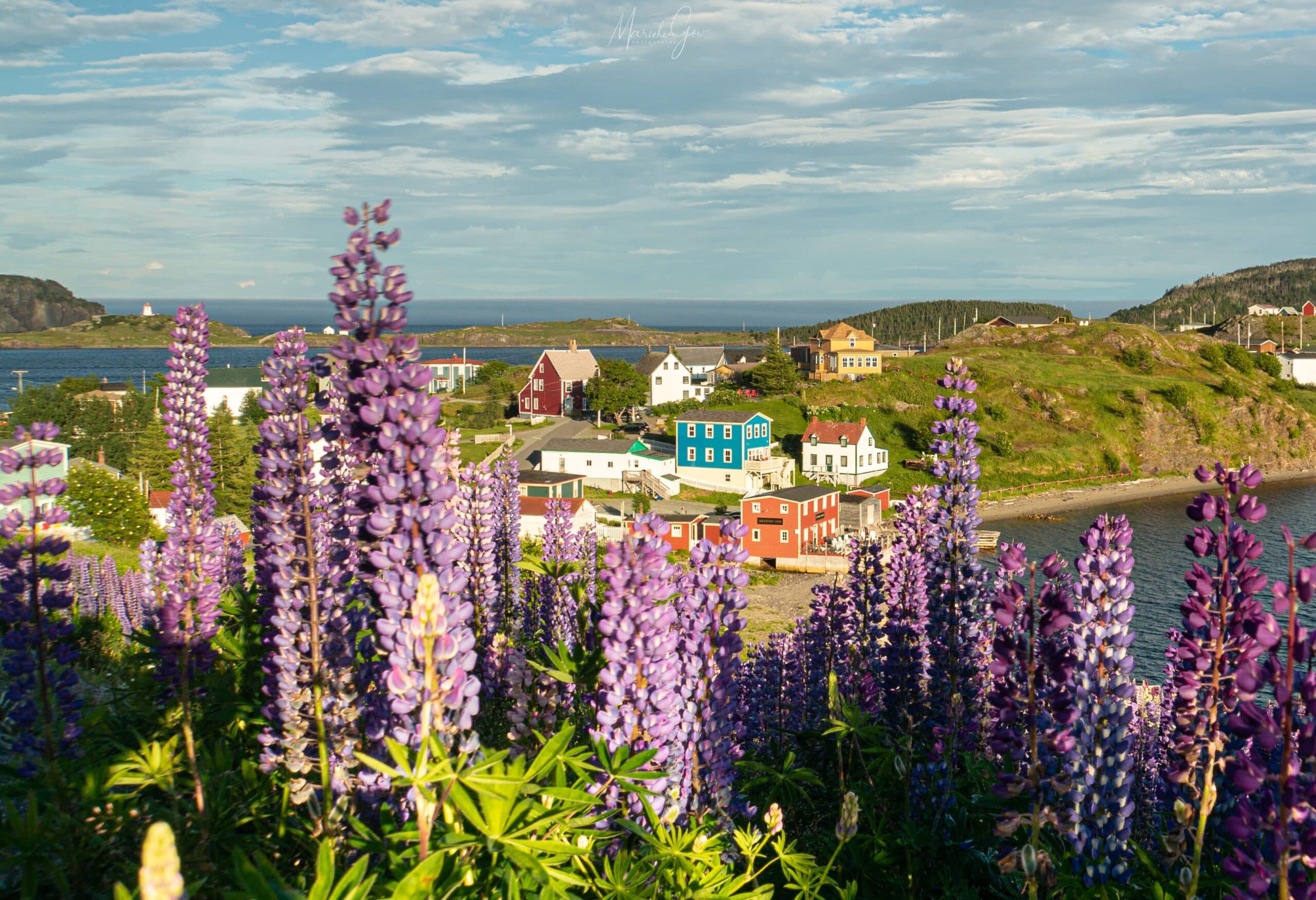 Artisan Inn and Vacation Home & Twine Loft Dining Trinity, Newfoundland