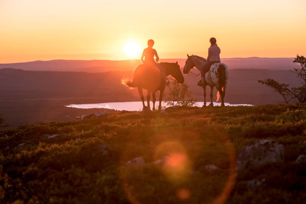 Everything you need to know about Midsummer