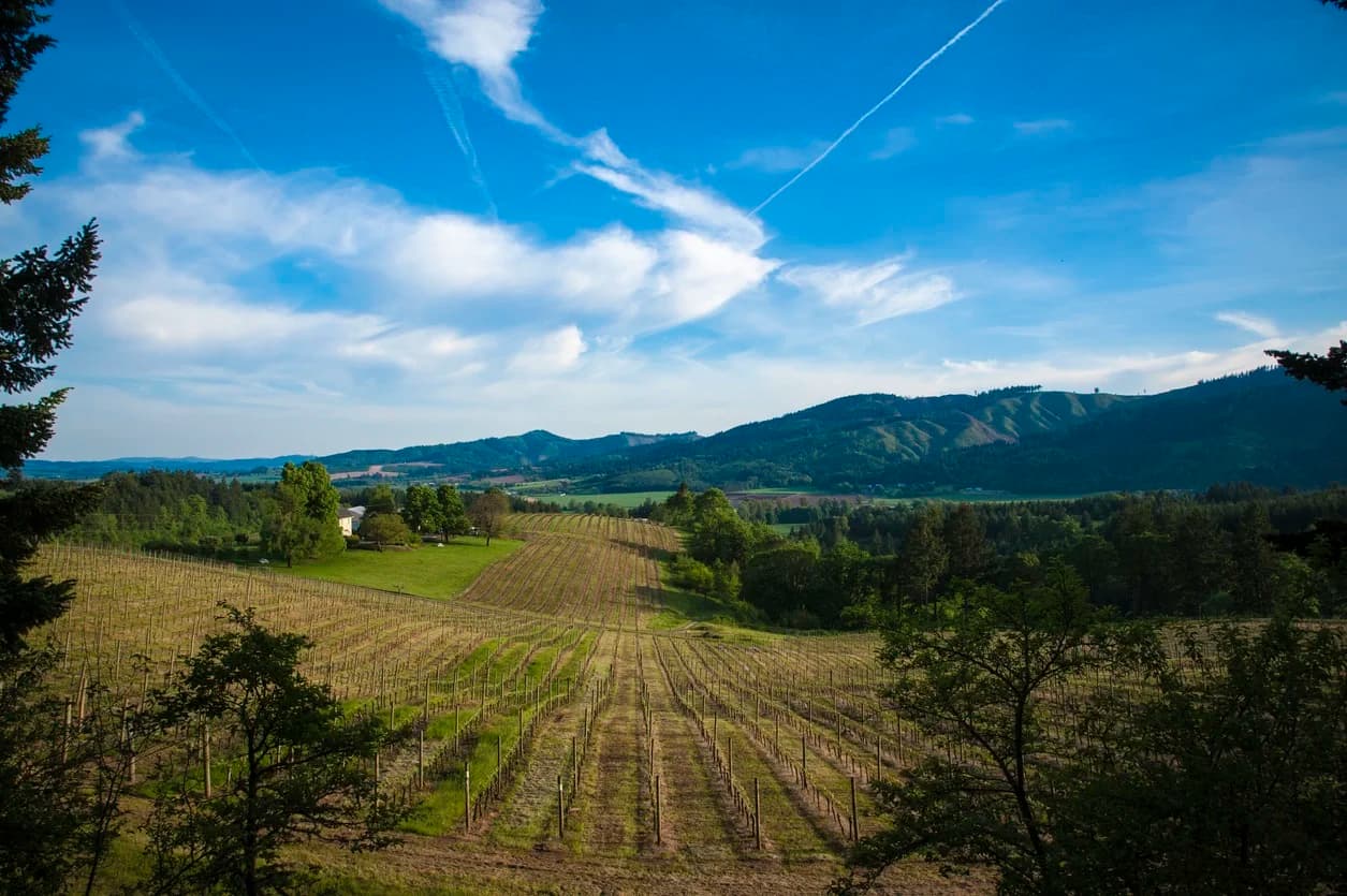 Ultimate Willamette Valley Oregon Itinerary for 2026